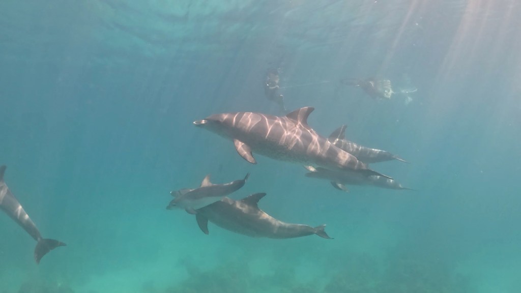 Ehrliche Tipps für einen entspannten und sicheren Urlaub in&nbsp;Ägypten