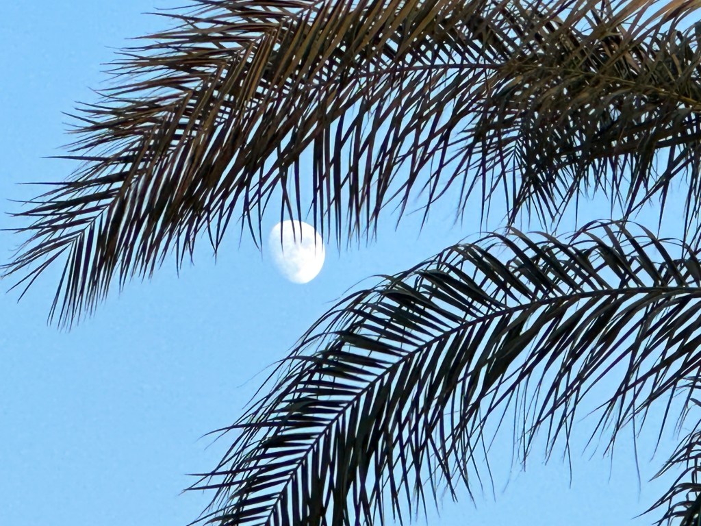 Nilkreuzfahrt & Badeurlaub Teil&nbsp;2